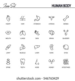 Human body flat icon set. Collection of high quality outline symbols of internal organs for web design, mobile app. Vector thin line icons or logo of eyes, bones, heart, spine, brain, etc.