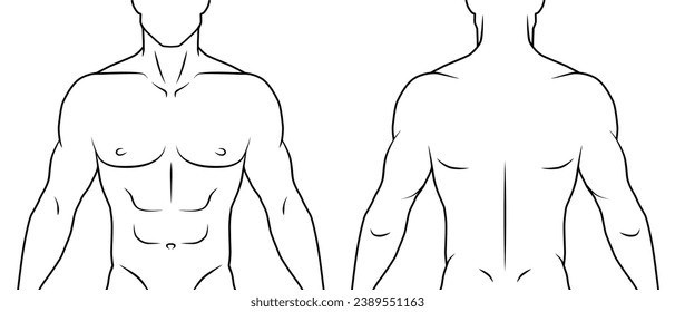 Delante y espalda del cuerpo humano. contorno blanco y negro. Fondo blanco.