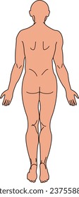 Human body full body back view