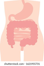 Human body gastrointestinal illustration internal organs digestive organ