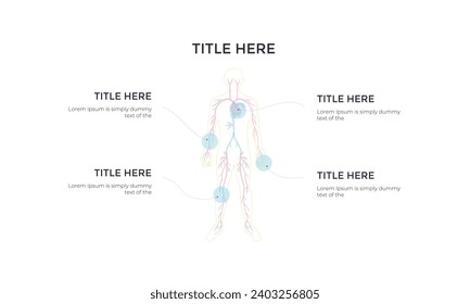 Human body health care infographics, with medical icons, organs, charts and diagarms
