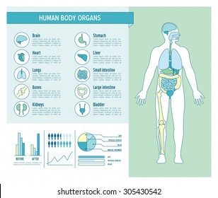Human body health care infographics, with medical icons, organs, charts, diagrams and copy space