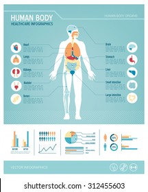 Human body health care infographics  and medical icons  organs  charts  diagarms   copy space