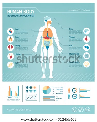 Human body health care infographics, with medical icons, organs, charts, diagarms and copy space