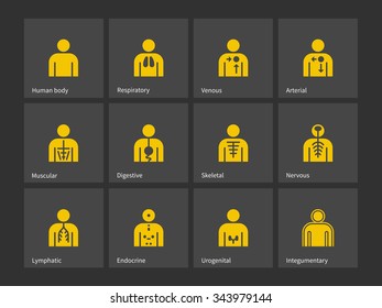 Human body, health immune system icons. Vector illustration.