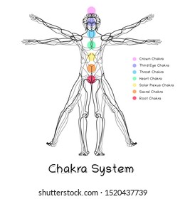 Human body. Homo vitruvianus. Classic proportion man. Vector illustration. Health man.
