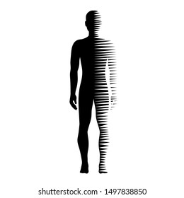 Human Body Horizontal Motion Lines Vector Stock Vector (Royalty Free ...