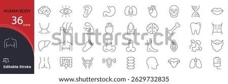 Human Body icon set. Anatomy and health related line icons: skeleton, muscles, organs, heart, brain, lungs, nervous system, bones, cells, medical and more. Editable stroke. Vector illustration.