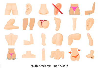 Human body icon set. Cartoon set of human body vector icons for web design isolated on white background