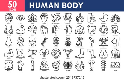 Human Body Icon Set Collection. Simple Line Vector