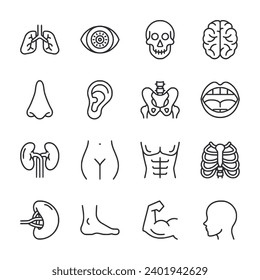 Human Body icon set isolated on white