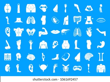 Human body icon set. Simple set of human body vector icons for web design isolated on blue background