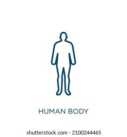 human body icon. Thin linear human body outline icon isolated on white background. Line vector human body sign, symbol for web and mobile