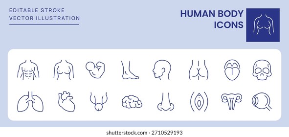 Iconos del cuerpo humano. Trazo Editable. Conjunto de iconos de línea delgada símbolo de colección.
