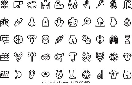 Human body icons High-Quality Vector Icons Collection with Editable Stroke. Ideal for Professional and Creative Projects.