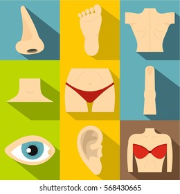 Human body icons set. Flat illustration of 9 human body vector icons for web