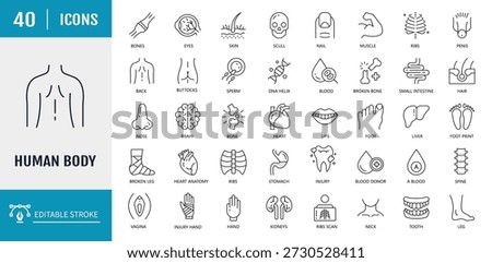 Human Body Icons set. Includes Organs, body parts, skeleton parts. Vector illustration with editable strokes