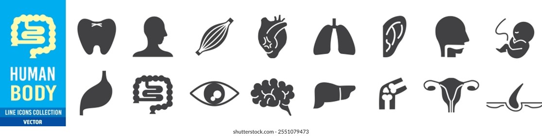 Human Body Icons set. Line Editable stroke Icons set collection vector. 