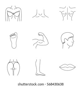 Human body icons set. Outline illustration of 9 human body vector icons for web