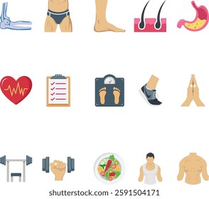 Human body illustration with isolated background set 