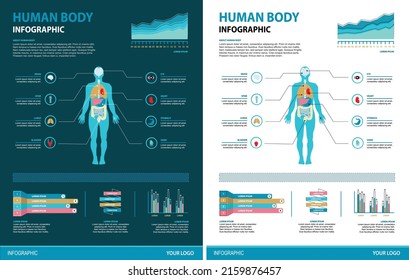 Human Body Infographic Illustration Light and Dark