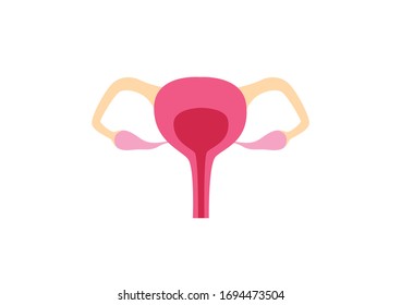 Órganos internos del cuerpo humano sobre antecedentes blancos, Anatomía educativa, órgano sexual femenino de reproducción, ilustración de órganos humanos