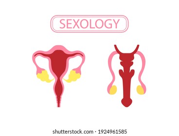 性器 の画像 写真素材 ベクター画像 Shutterstock