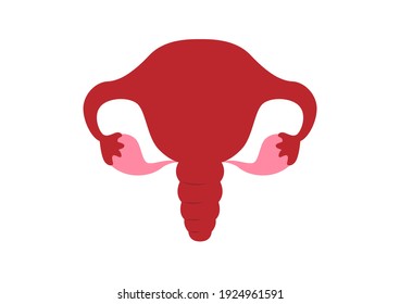 Órganos internos del cuerpo humano sobre fondo blanco, Anatomía educativa, órgano sexual reproductivo femenino, ilustración de órganos humanos