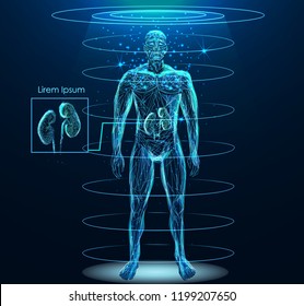 Human body with Human Kidney internal organ low poly wireframe. Low poly wireframe mesh with scattered particles and light effects on dark background.