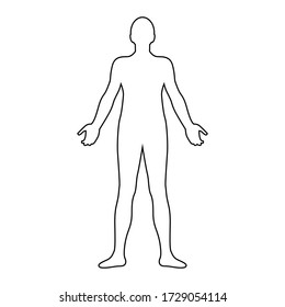 Human body line drawing, vector illustration