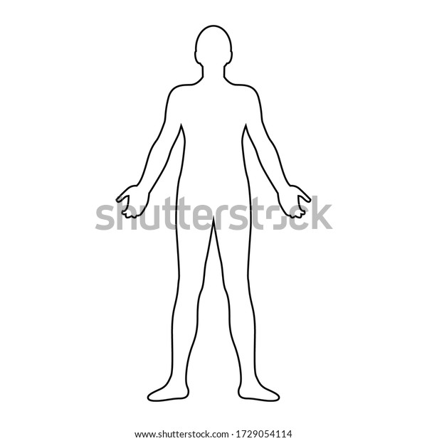 Human Body Line Drawing Vector Illustration Stock Vector (Royalty Free