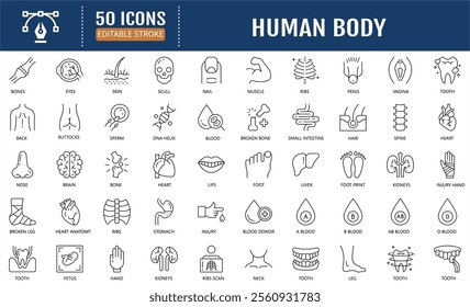 Human Body Line Editable Icons set. Containing icons: organs, body parts, skeleton parts. Vector Illustration