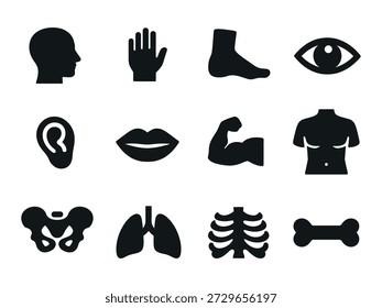 Human Body Line Editable Icons set. 
