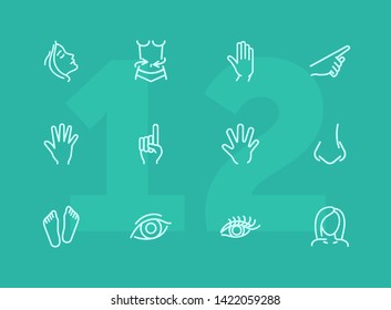 Human body line icon set. Face, hand, eye. Health concept. Can be used for topics like healthcare, weight, gesturing