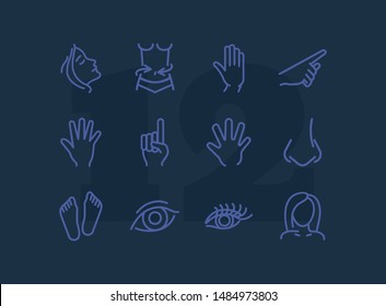 Human body line icon set. Face, hand, eye. Health concept. Can be used for topics like healthcare, weight, gesturing