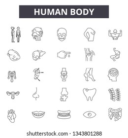 Human body line icons for web and mobile. Editable stroke signs. Human body outline concept illustrations