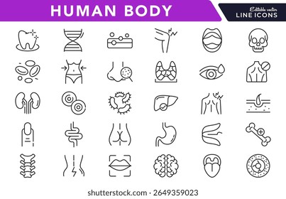 Human Body linear icon set. Organs, body parts, skeleton parts, pictograms, joint, knee, x-ray, arthritis, autoimmune, gout, inflammation line icon set. Ui thin line icon pack.