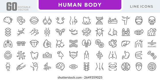 Human Body linear icon set. Organs, body parts, skeleton parts, pictograms, joint, knee, x-ray, arthritis, autoimmune, gout, inflammation line icon set. Ui thin line icon pack.