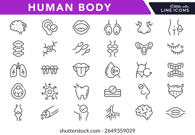Human Body linear icon set. Organs, body parts, skeleton parts, pictograms, joint, knee, x-ray, arthritis, autoimmune, gout, inflammation line icon set. Ui thin line icon pack.