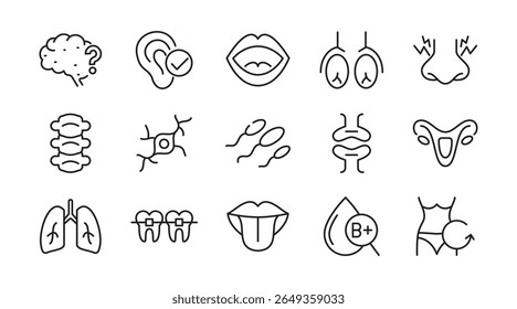 Human Body linear icon set. Organs, body parts, skeleton parts, pictograms, joint, knee, x-ray, arthritis, autoimmune, gout, inflammation line icon set. Ui thin line icon pack.
