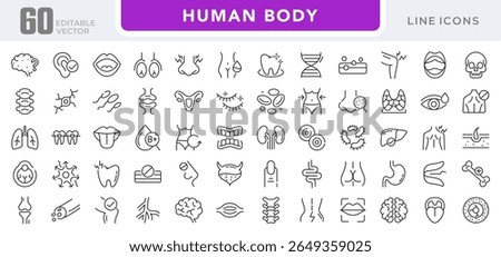 Human Body linear icon set. Organs, body parts, skeleton parts, pictograms, joint, knee, x-ray, arthritis, autoimmune, gout, inflammation line icon set. Ui thin line icon pack.