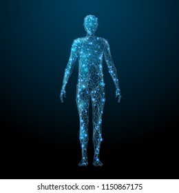 Human body low poly wireframe. Vector polygonal image in the form of a starry sky or space, consisting of points, lines, and shapes in the form of stars with destruct shapes. - Shutterstock ID 1150867175