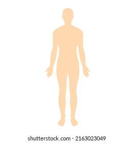 Human Body Man Silhouette. High quality vector
