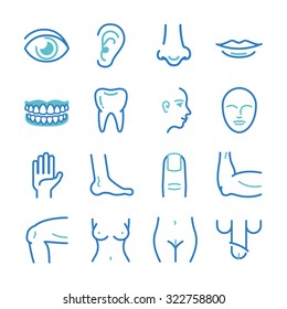 Human Body - Medical Icons Set