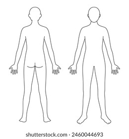 modelo de cuerpo humano, contorno, frontal y posterior, archivo de Vector