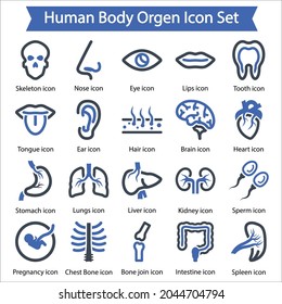 Human body organ icon set, Vector graphics