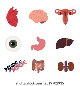 Human Body Organs Collection: Anatomy Illustration Set