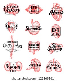 Human body organs sketches with hand drawn lettering, medical clinic or dentistry emblem design. Brain, heart and lungs, liver, kidney and tooth, eye, spine and ear, spleen, stomach and intestine