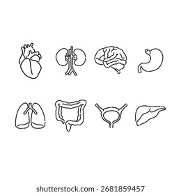 Human body organs symbol elements