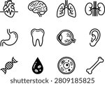 Human body organs and systems vector illustration